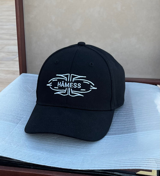 H19 CAP